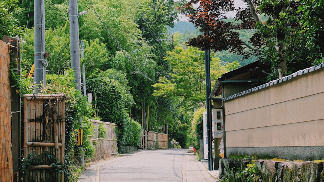 Breaking Down the Japanese Language Barrier: My Journey in Rural Japan