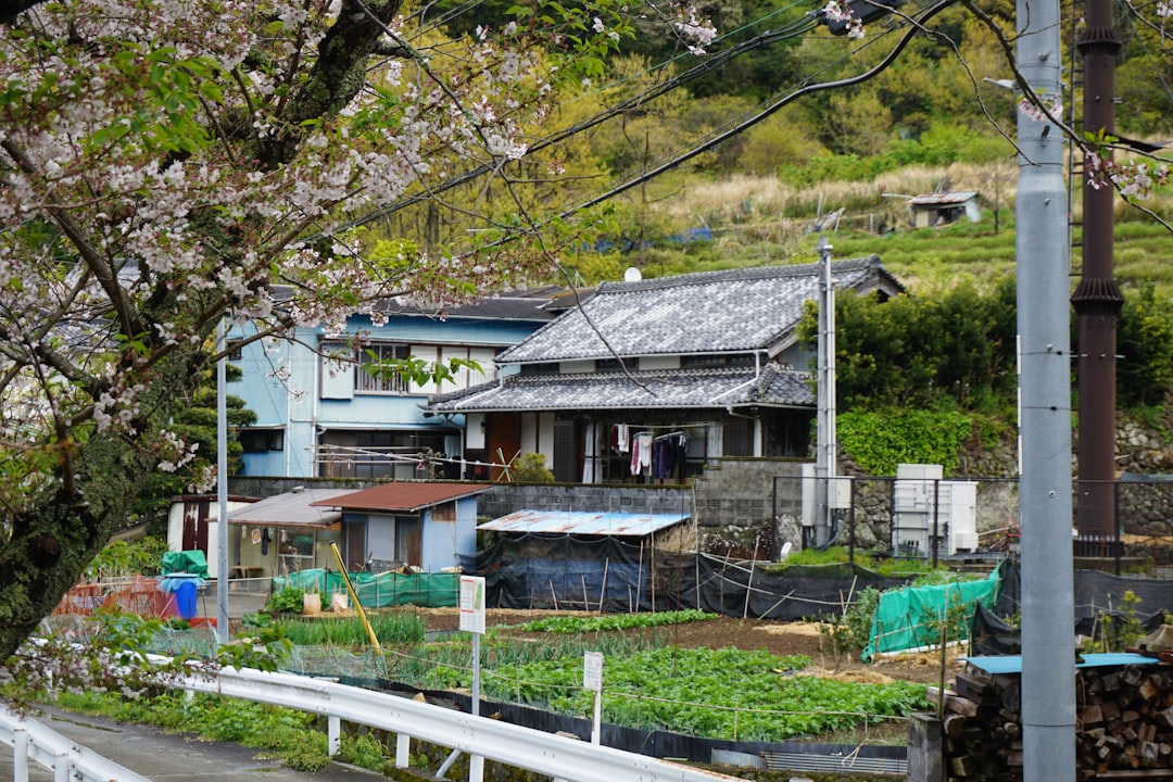 Finding Solace in Japan’s Countryside: A Foreigner’s Honest Experience