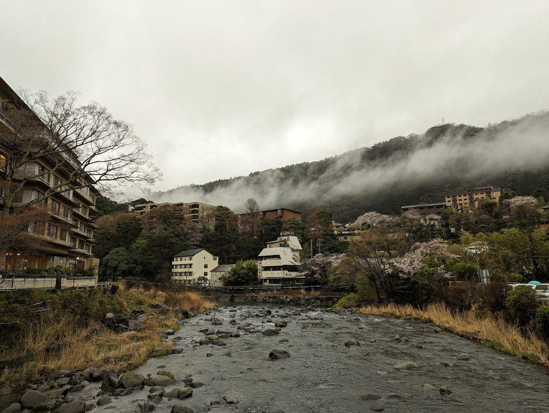 The Unspoken Side of Life in Japan: Navigating Expectations and Reality
